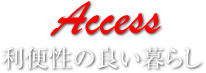 Access ֐̗ǂ炵